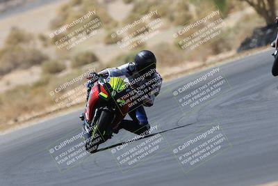 media/May-14-2023-SoCal Trackdays (Sun) [[024eb53b40]]/Turn 5 Tree of Life (1125am)/